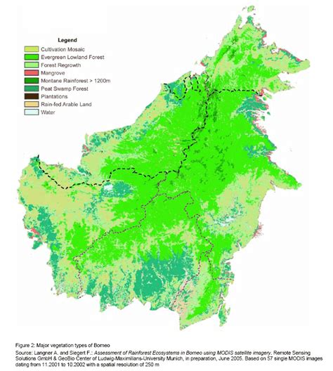 Vibrant Ecosystems in Borneo